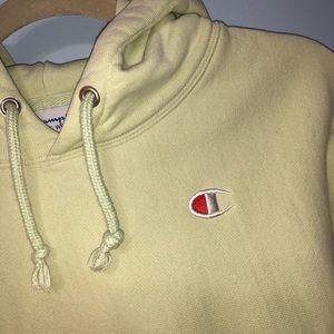 Reverse Weave Champion Pastel Hoodie